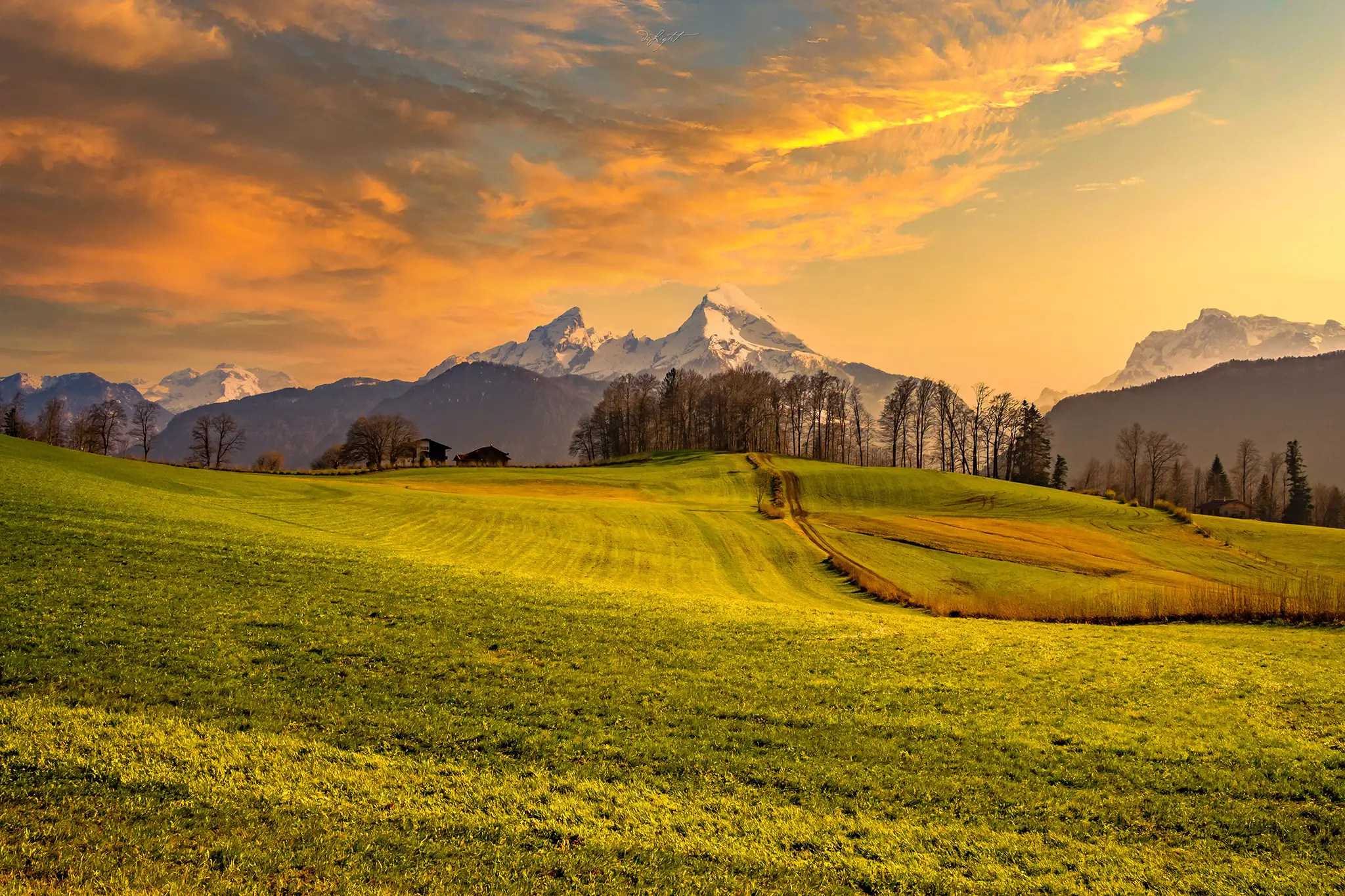 Landscape